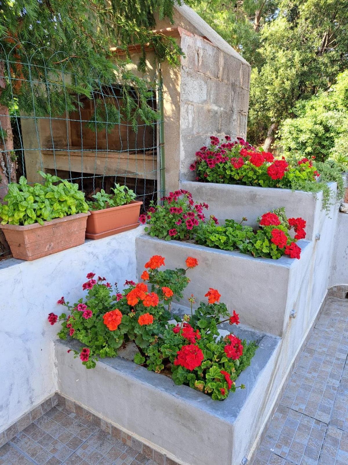 Ferienwohnung Domus De Mare Cala Gonone Exterior foto