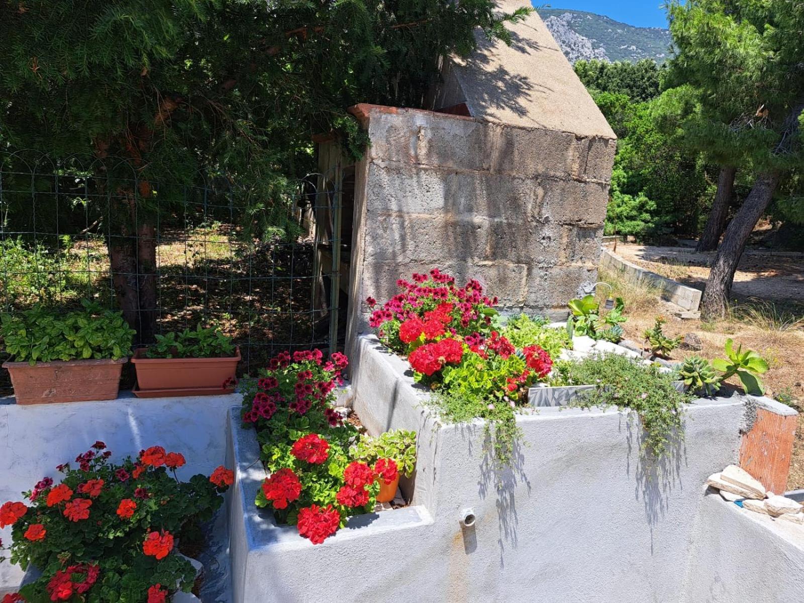 Ferienwohnung Domus De Mare Cala Gonone Exterior foto